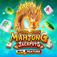 Giấy phép và quy định mm99